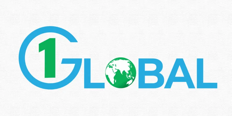 ONE GLOBAL SERVICE PROVIDER LIMITED FINANCIAL AND BUSINESS ANALYSIS REPORT